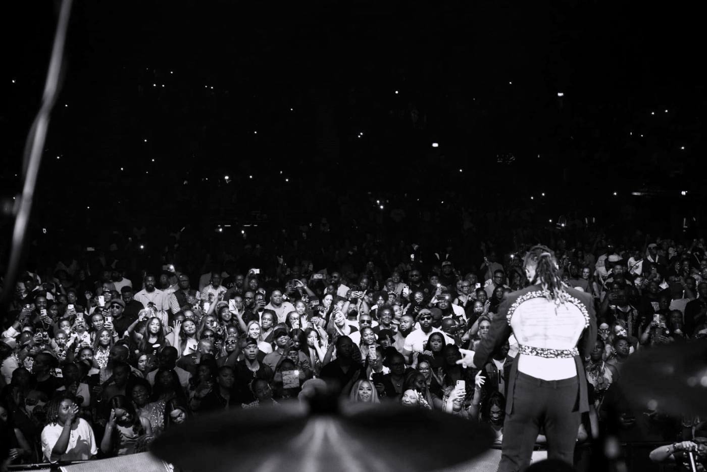 An artist on stage, seen from behind, facing a packed arena.